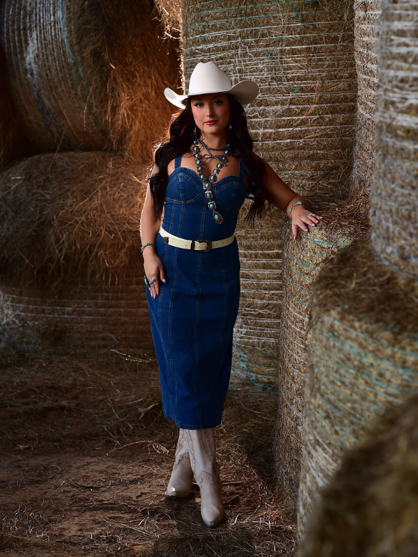 Baby Blue Maxi Denim Dress, Dark Blue